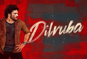 Dilruba box office collection